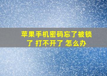 苹果手机密码忘了被锁了 打不开了 怎么办